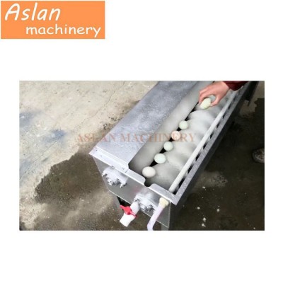 Salted Egg Washing Machine/ Duck Egg Brush Roller Cleaning Machine